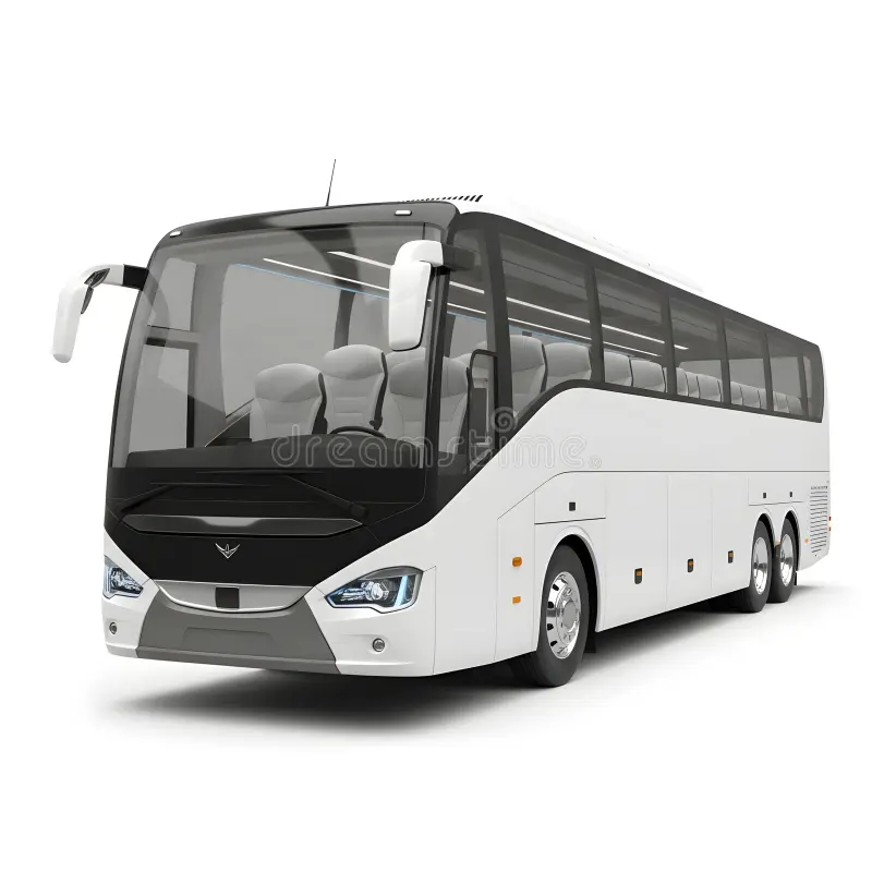 Luxury Under Luggage Bus